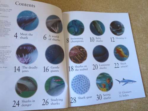 MY BEST BOOK OF SHARKS  by Claire Llewellyn