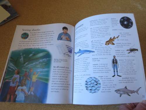 MY BEST BOOK OF SHARKS  by Claire Llewellyn