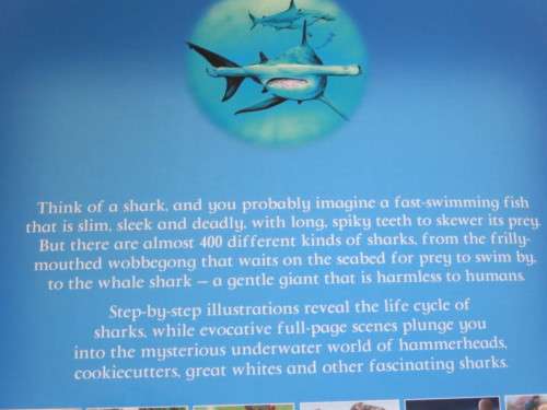 MY BEST BOOK OF SHARKS  by Claire Llewellyn