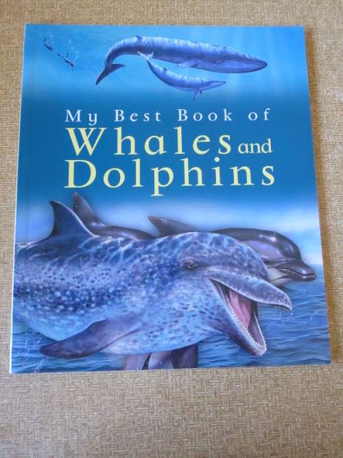 MY BEST BOOK OF WHALES AND DOLPHINS  by Christiane Gunzi