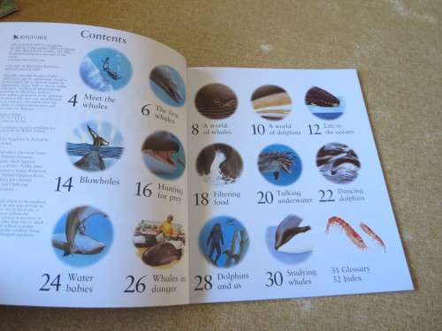 MY BEST BOOK OF WHALES AND DOLPHINS  by Christiane Gunzi