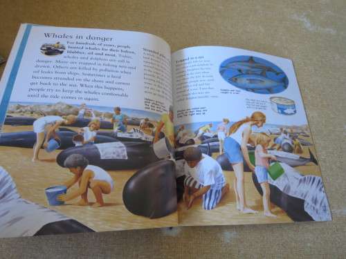 MY BEST BOOK OF WHALES AND DOLPHINS  by Christiane Gunzi