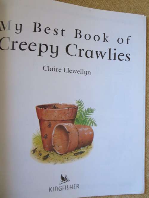 MY BEST BOOK OF CREEPY CRAWLIES  by Claire Llewellyn
