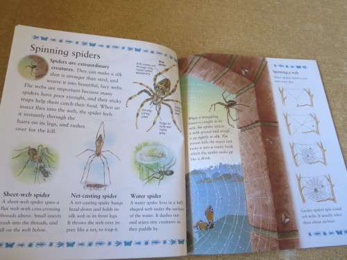 MY BEST BOOK OF CREEPY CRAWLIES  by Claire Llewellyn