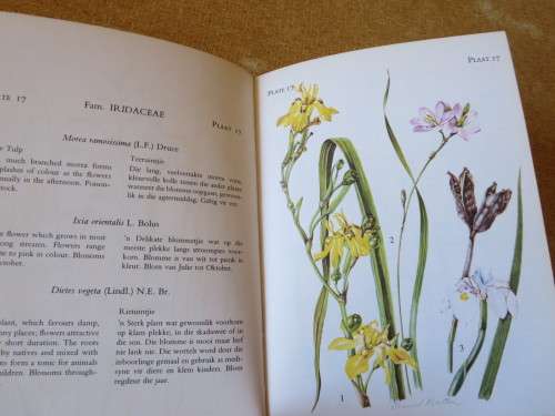 THE FLOWERING PLANTS OF TSITSIKAMA FOREST & COASTAL NATIONAL  (Teks Eng & Afr)