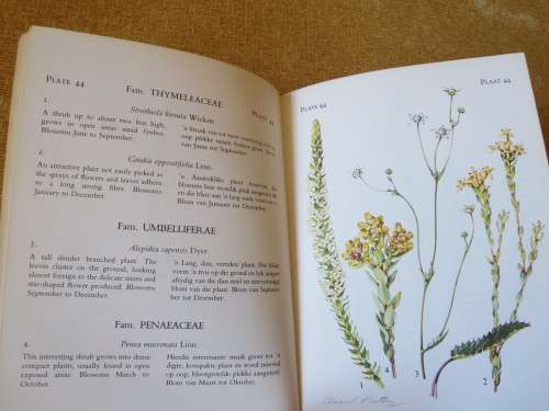 THE FLOWERING PLANTS OF TSITSIKAMA FOREST & COASTAL NATIONAL  (Teks Eng & Afr)
