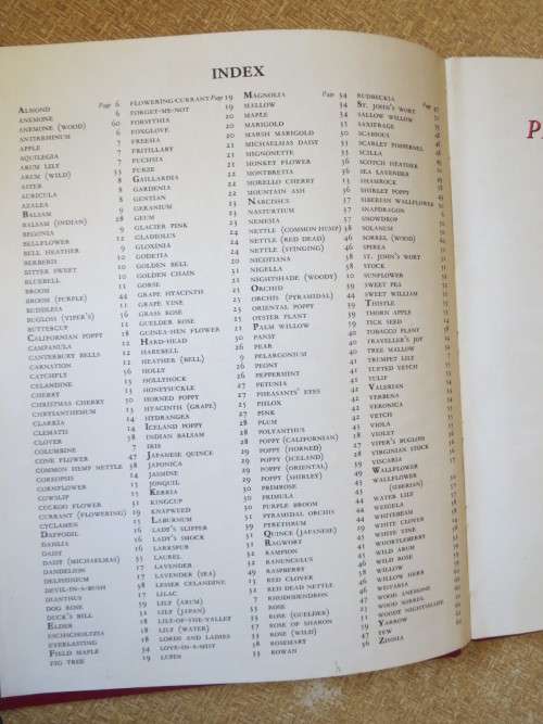 THE PICTURE DICTIONARY OF FLOWERS  by Richard Carrington & Mary Eden  Illustrations: A A Nash