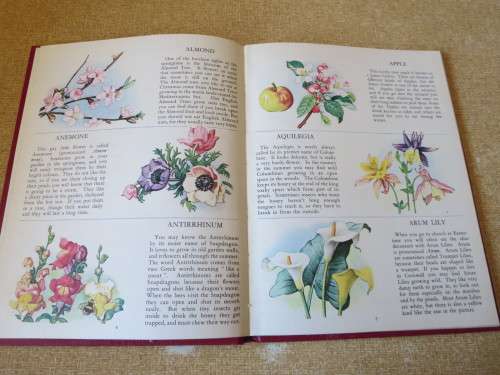 THE PICTURE DICTIONARY OF FLOWERS  by Richard Carrington & Mary Eden  Illustrations: A A Nash