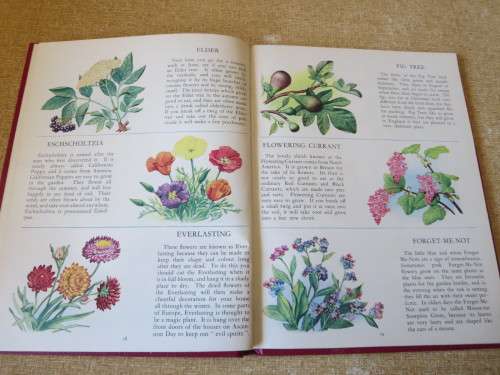 THE PICTURE DICTIONARY OF FLOWERS  by Richard Carrington & Mary Eden  Illustrations: A A Nash