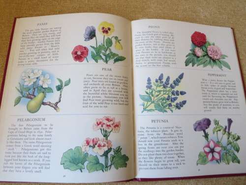 THE PICTURE DICTIONARY OF FLOWERS  by Richard Carrington & Mary Eden  Illustrations: A A Nash