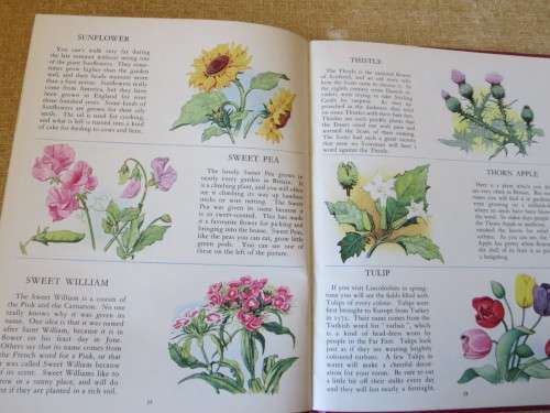 THE PICTURE DICTIONARY OF FLOWERS  by Richard Carrington & Mary Eden  Illustrations: A A Nash