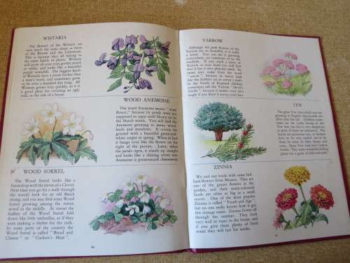 THE PICTURE DICTIONARY OF FLOWERS  by Richard Carrington & Mary Eden  Illustrations: A A Nash