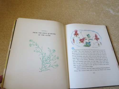 WHERE DID YOUR GARDEN GROW? by Jannette May Lucas  Illustrations by: Helene Carter