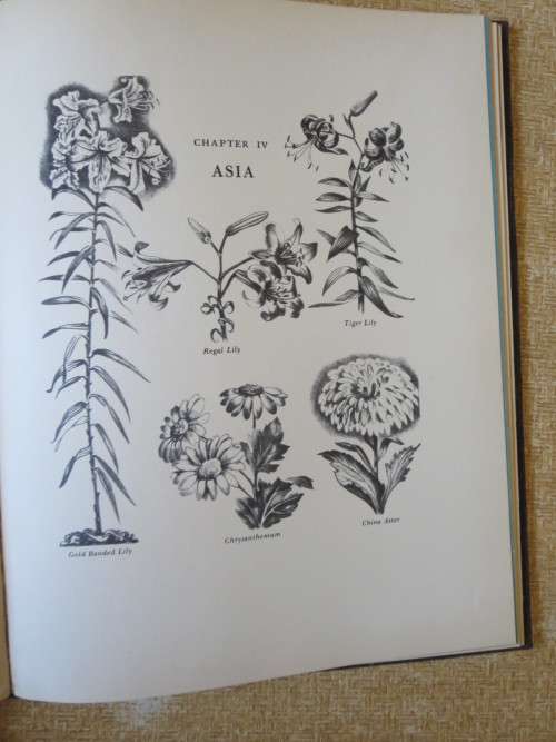 WHERE DID YOUR GARDEN GROW? by Jannette May Lucas  Illustrations by: Helene Carter