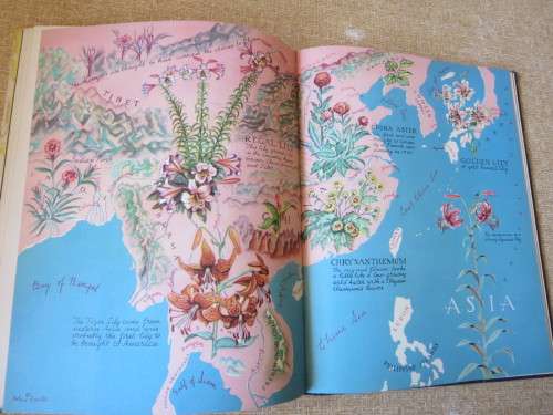 WHERE DID YOUR GARDEN GROW? by Jannette May Lucas  Illustrations by: Helene Carter