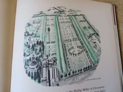 WHERE DID YOUR GARDEN GROW? by Jannette May Lucas  Illustrations by: Helene Carter