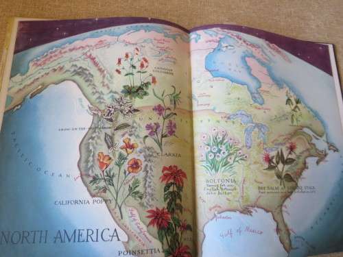 WHERE DID YOUR GARDEN GROW? by Jannette May Lucas  Illustrations by: Helene Carter
