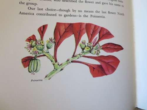 WHERE DID YOUR GARDEN GROW? by Jannette May Lucas  Illustrations by: Helene Carter