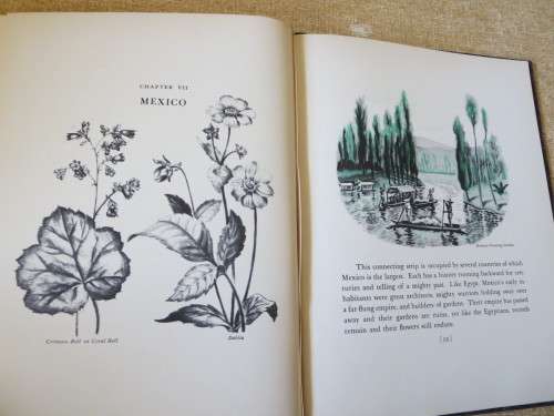 WHERE DID YOUR GARDEN GROW? by Jannette May Lucas  Illustrations by: Helene Carter