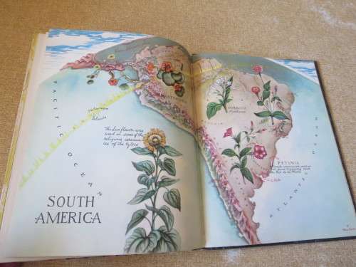 WHERE DID YOUR GARDEN GROW? by Jannette May Lucas  Illustrations by: Helene Carter