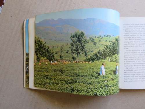 THIS IS RHODESIA  Text written by Phillippa Berlyn  (RHODESIANA) (Promote tourism)