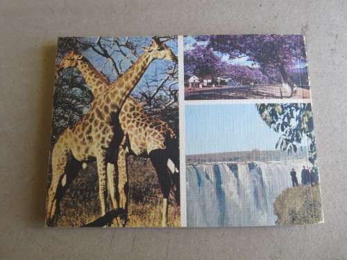 THIS IS RHODESIA  Text written by Phillippa Berlyn  (RHODESIANA) (Promote tourism)