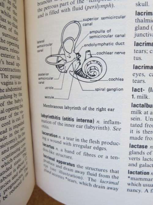 OXFORD CONCISE MEDICAL DICTIONARY  Fourth Edition