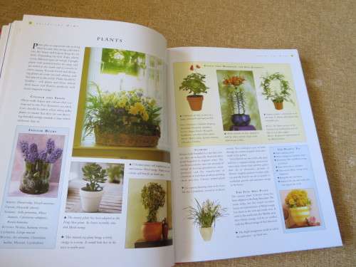 FENG SHUI - HEALTH, HARMONY & HAPPINESS  by Gill Hale and Mark Evans respectively (SLIPCASE)