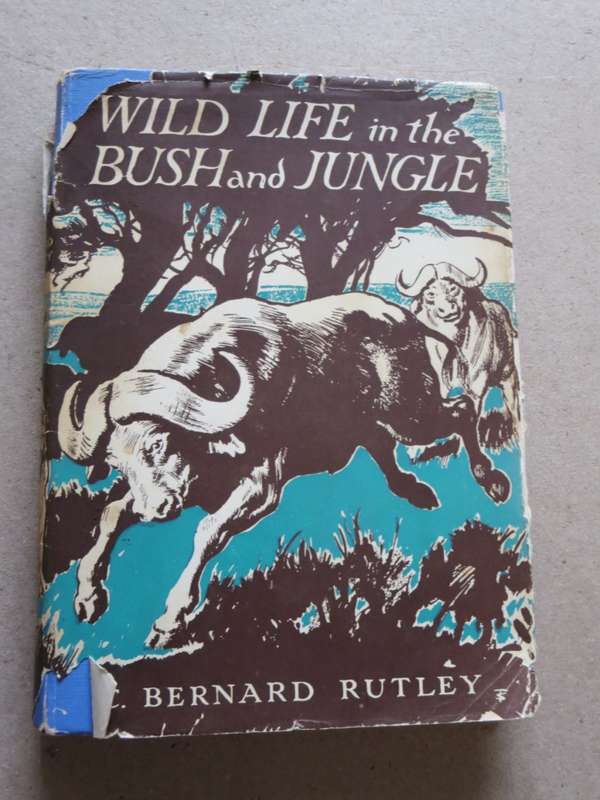 WILD LIFE IN THE BUSH AND JUNGLE  by C. Bernard Rutley (3 True wild life stories)