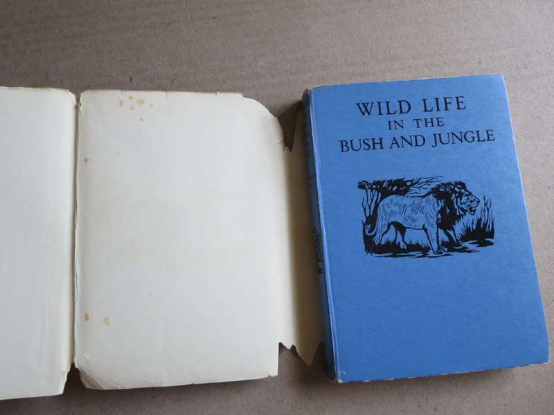 WILD LIFE IN THE BUSH AND JUNGLE  by C. Bernard Rutley (3 True wild life stories)