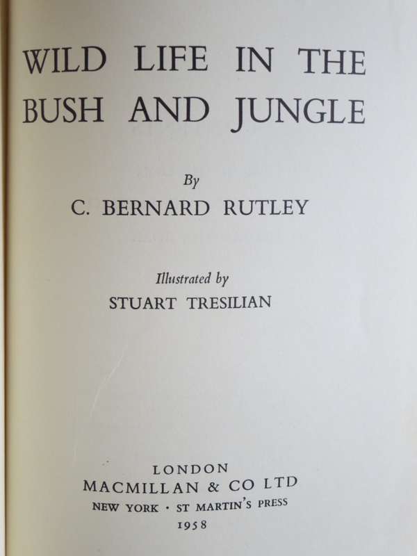 WILD LIFE IN THE BUSH AND JUNGLE  by C. Bernard Rutley (3 True wild life stories)