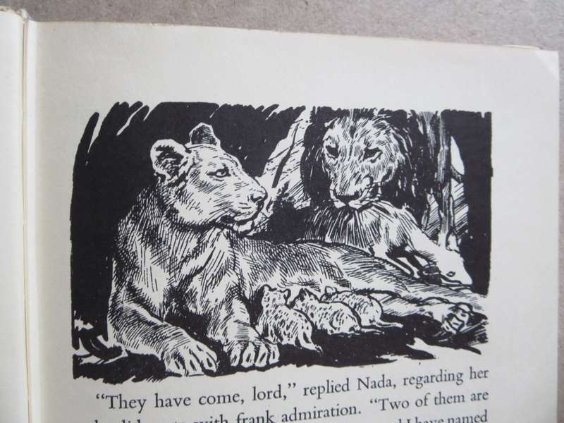 WILD LIFE IN THE BUSH AND JUNGLE  by C. Bernard Rutley (3 True wild life stories)