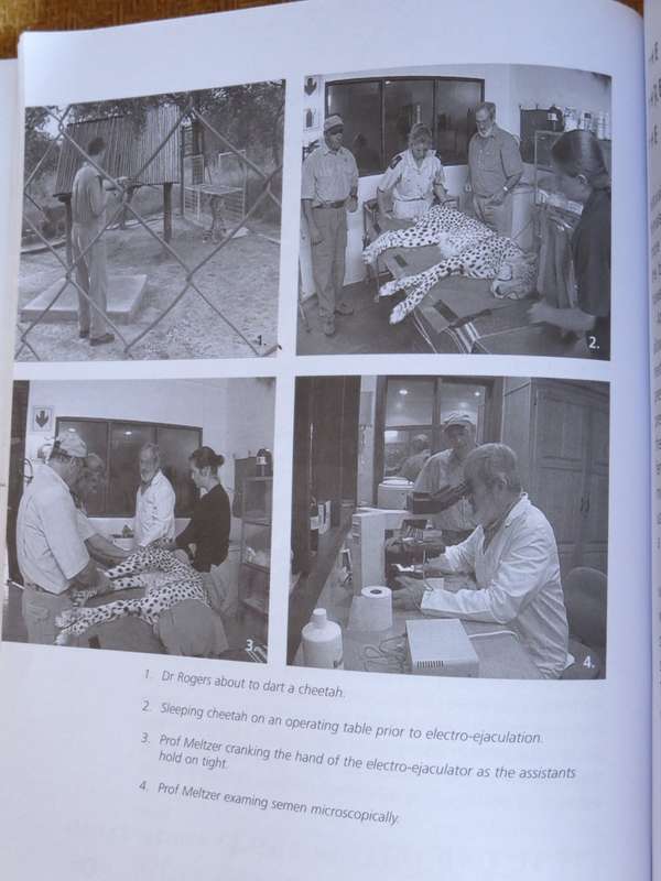 TALES OF AN AFRICAN VET  by Roy Aronson  (SIGNED)