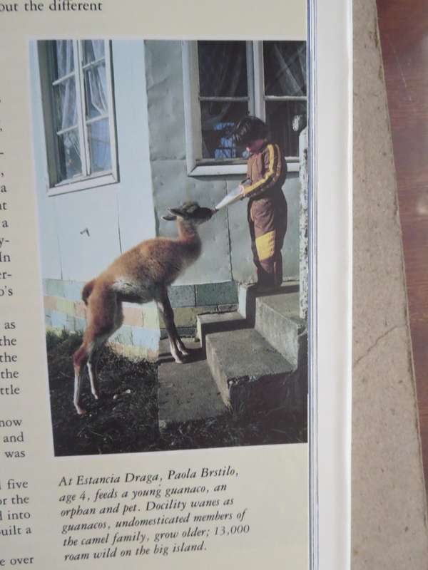 SECRET CORNERS OF THE WORLD  by National Geographic Society