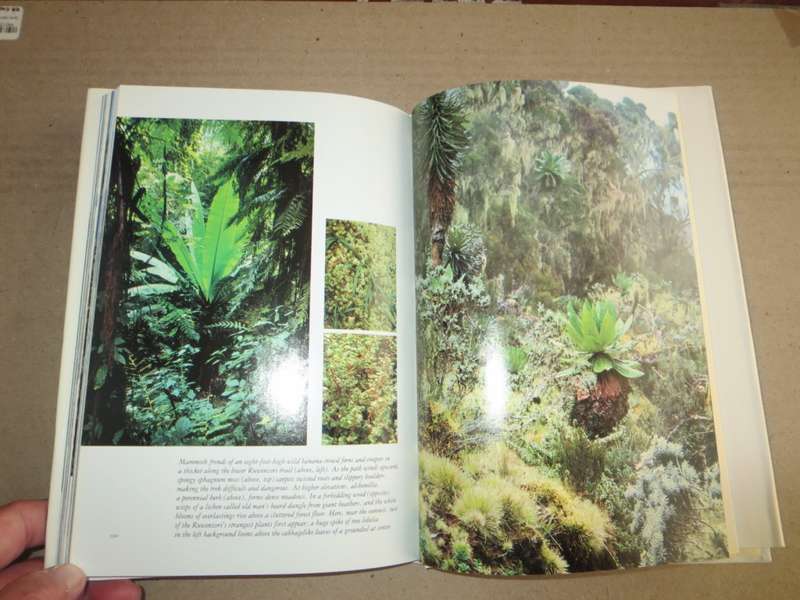 SECRET CORNERS OF THE WORLD  by National Geographic Society