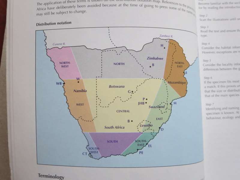 WILDLIFE OF SOUTHERN AFRICA  Field guide to animals and plants of the region by Vincent Carruthers