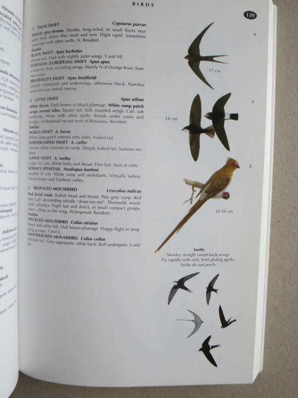 WILDLIFE OF SOUTHERN AFRICA  Field guide to animals and plants of the region by Vincent Carruthers
