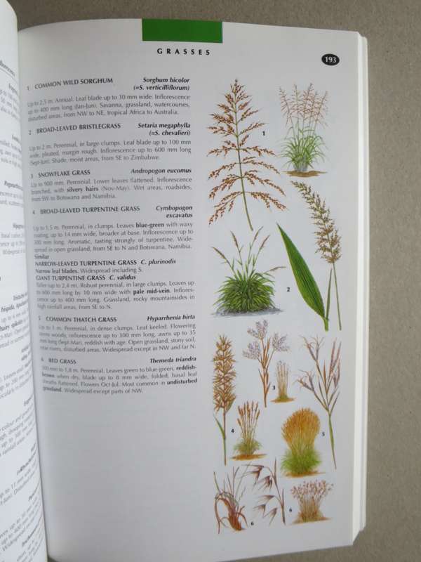 WILDLIFE OF SOUTHERN AFRICA  Field guide to animals and plants of the region by Vincent Carruthers