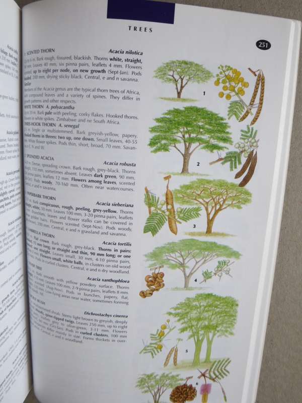 WILDLIFE OF SOUTHERN AFRICA  Field guide to animals and plants of the region by Vincent Carruthers