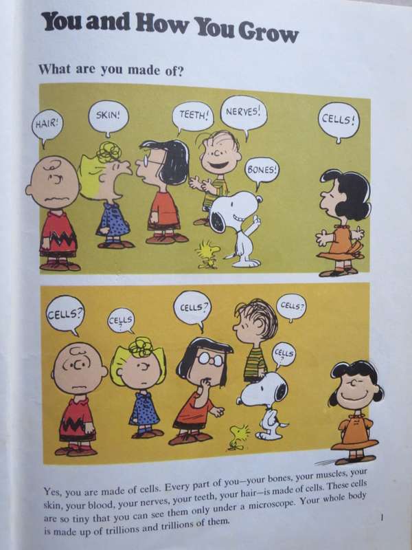 COMIC BOOKS: CHARLIE BROWN`S `CYCLOPEDIA VOL 1  Featuring Your Body Questions. Answers. Facts