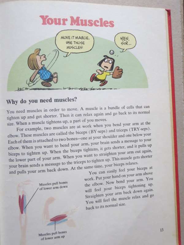 COMIC BOOKS: CHARLIE BROWN`S `CYCLOPEDIA VOL 1  Featuring Your Body Questions. Answers. Facts