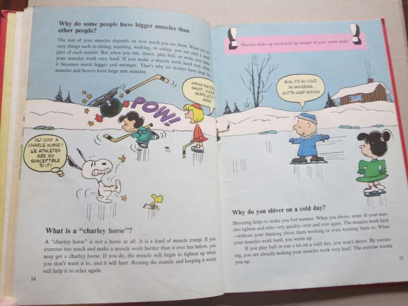 COMIC BOOKS: CHARLIE BROWN`S `CYCLOPEDIA VOL 1  Featuring Your Body Questions. Answers. Facts