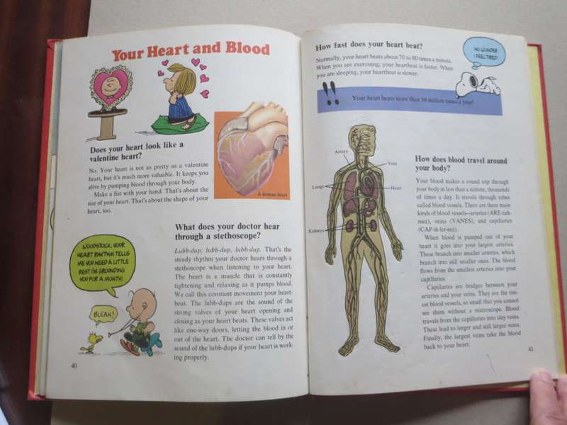 COMIC BOOKS: CHARLIE BROWN`S `CYCLOPEDIA VOL 1  Featuring Your Body Questions. Answers. Facts