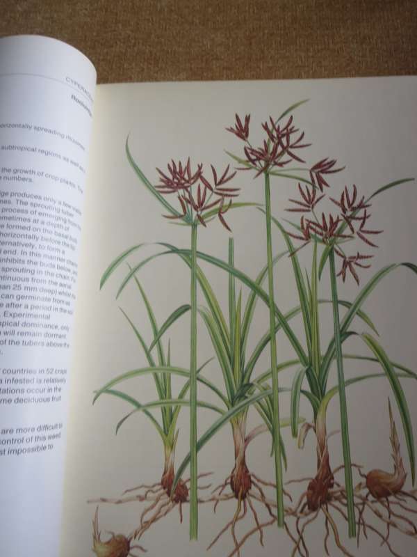WEEDS OF CROPS AND GARDENS. Compiled by Kees Grabandt. (A CIBA-GEIGY Production)