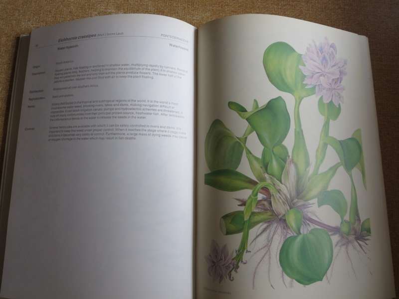 WEEDS OF CROPS AND GARDENS. Compiled by Kees Grabandt. (A CIBA-GEIGY Production)