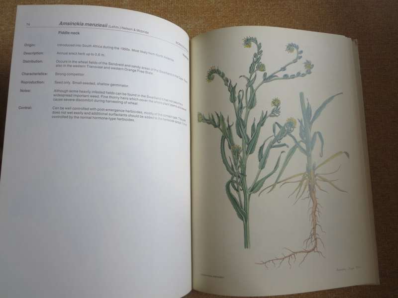 WEEDS OF CROPS AND GARDENS. Compiled by Kees Grabandt. (A CIBA-GEIGY Production)