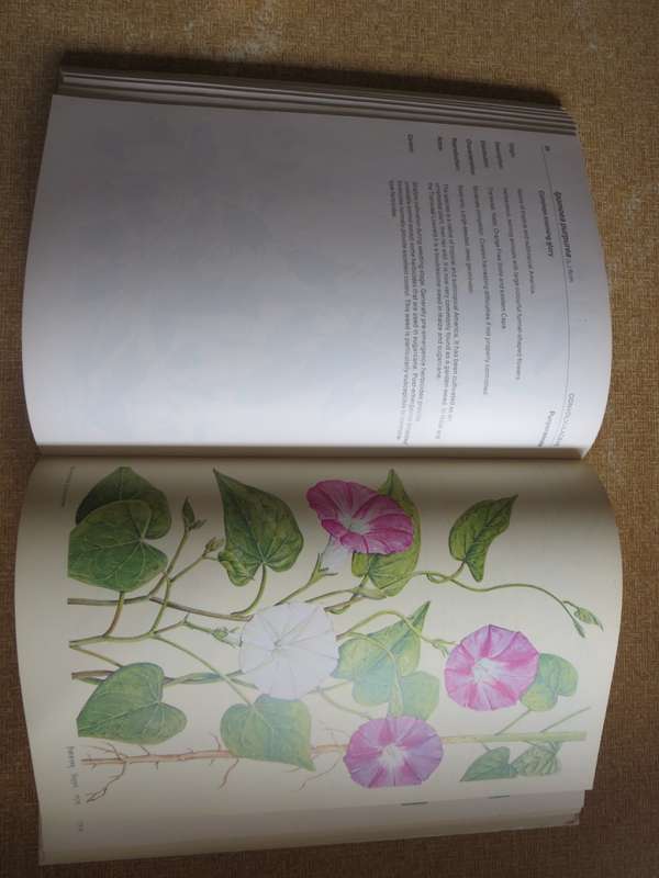 WEEDS OF CROPS AND GARDENS. Compiled by Kees Grabandt. (A CIBA-GEIGY Production)