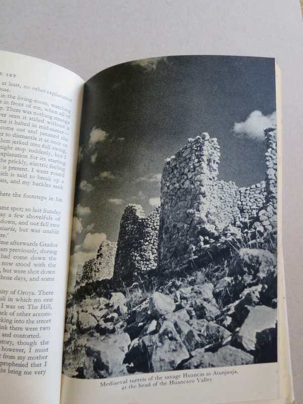 RUINS IN THE SKY by Brian Fawcett (Lost cities Brazil)