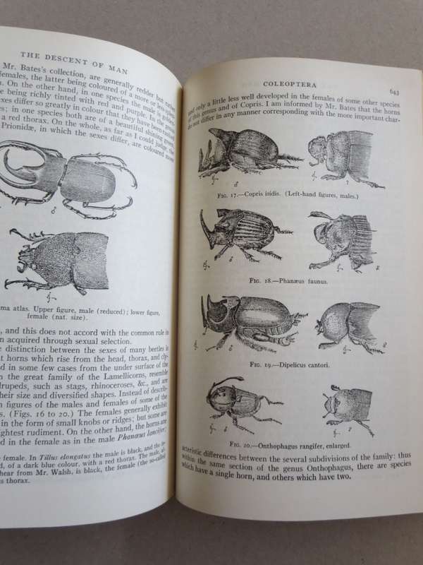THE ORIGIN OF SPECIES AND THE DESCENT OF MAN  by CHARLES DARWIN