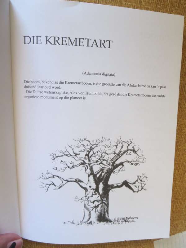 MY MA SE KOMBUIS WAS `N KREMERART deur Ben Bezuidenhout Afr. vertaling: Magriet Eksteen